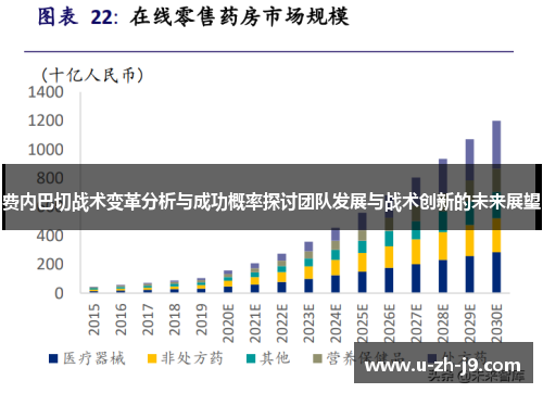 费内巴切战术变革分析与成功概率探讨团队发展与战术创新的未来展望