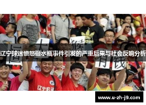 辽宁球迷愤怒砸水瓶事件引发的严重后果与社会反响分析