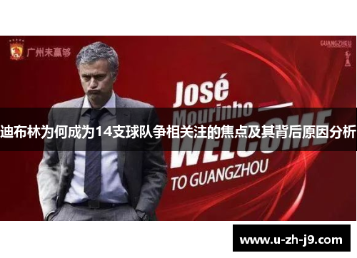 迪布林为何成为14支球队争相关注的焦点及其背后原因分析