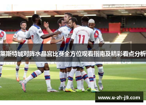 莱斯特城对阵水晶宫比赛全方位观看指南及精彩看点分析