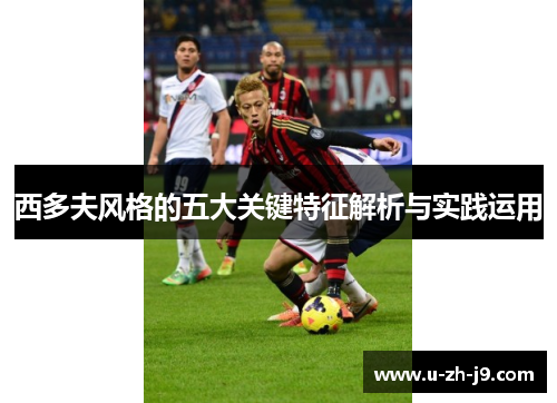 西多夫风格的五大关键特征解析与实践运用