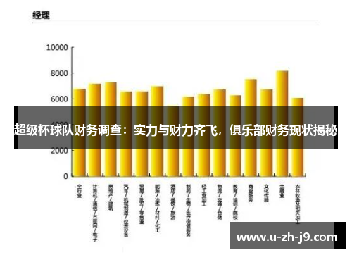 超级杯球队财务调查：实力与财力齐飞，俱乐部财务现状揭秘